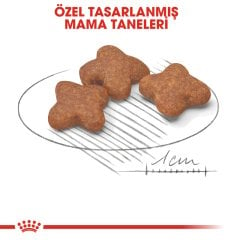 Royal Canin Mini Adult +8 Yaş Üzeri 2 kg İleri Yaşlı Köpek Maması