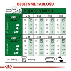 Royal Canin Mini Adult +8 Yaş Üzeri 2 kg İleri Yaşlı Köpek Maması