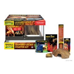 Hagen Exo Terra Leopard Gecko Starter Kit