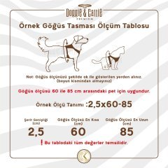 Cattie Havalı Dokumadan El Yapımı Kedi Göğüs & Gezdirme Takımı