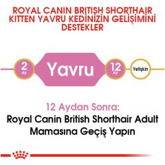 Royal Canin Kitten British Shorthair 2 Kg Yavru Kedi Maması