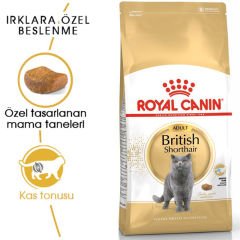 Royal Canin British Short Hair 4 Kg