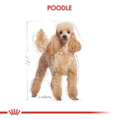 Royal Canin Poodle Pouch 85 gr