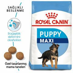 Royal Canin Maxi Puppy 10 kg Yavru Köpek Maması