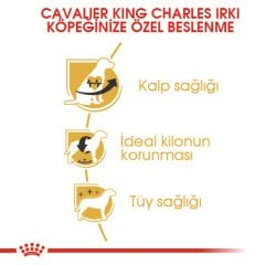 Royal Canin Cavalier King Charles Adult 1,5 kg Köpek Irk Maması