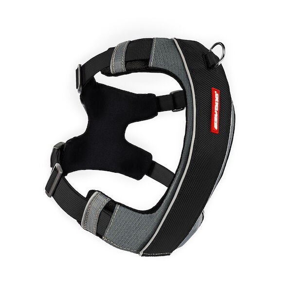 Ezydog 09169 Harness X-Link Black S Köpek Göğüs Tasması
