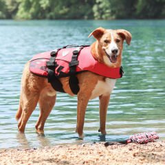 Ezydog 84059 Dogflotation Red Medium Köpek Can Yeleği