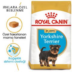 Royal Canin Yorkshire Terrier Puppy 1,5 Kg Yavru Köpek Irk Maması