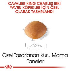 Royal Canin Cavalier King Charles Puppy 1,5 kg Yavru Köpek Irk Maması