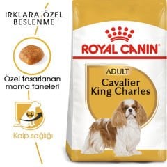 Royal Canin Cavalier King Charles Adult 3 kg Köpek Irk Maması