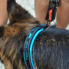 Ferplast Sport Dog C25/45 Reflect Köpek Boyun Tasma- Mavi