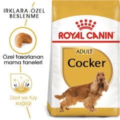 Royal Canin Cocker Adult 3 Kg Köpek Irk Maması