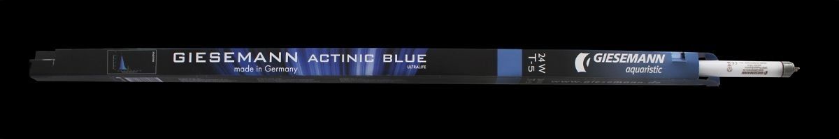 Giesemann Powerchrome 24 W Actinic Blue T5 Akvaryum Floresan