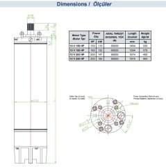 İmpo - 10''  Dalgıç Motoru - 225 HP (165 Kw) - Yıldız Üçgen