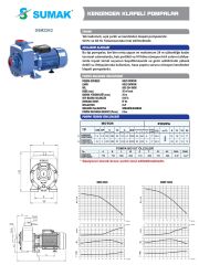 Sumak DSM220/2 220V Kendinden Klapeli Pompa 2.2HP / 2''