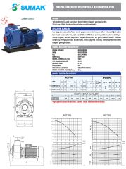 Sumak DSMT750/3 Kendinden Klapeli Pompa 7,5HP / 3''