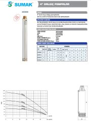 Sumak 4SD616  4'' Tek Pompa  (115 mss/ 2 HP)