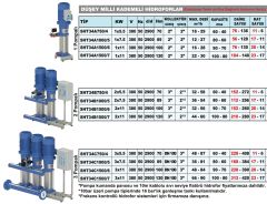 Sumak SHT34B 1500/6 - 2x15 HP Hidrofor 2x34 Ton/Saat - 100 mss