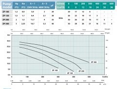 Osip ZP 100 M - 1,0 HP İtalyan Yatay Tek Kademeli Sulama Pompası