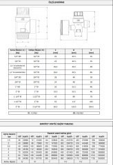 Case Emniyet Ventili 1½'' - 10 Bar (07-40101)