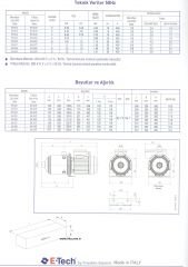 Etech EH 3/6  1.20 Hp Yatay Çok Kademeli Pompa