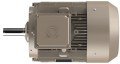 OMEGA 3MGS 225S4 - 37 kw 1500 D/Dak IE3 Trifaze Elektrik Motoru (Sipariş vermeden önce stok bilgisi için lütfen bizimle iletişime geçiniz.)