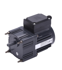 5 rpm - 15 Watt   D1610-15-2B 220Ac   Motor