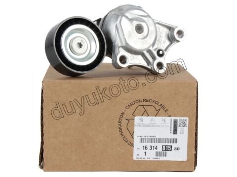 Alternatör (V Kayış) Gergi Rulmanı S&S+ 1.6HDİ Euro5