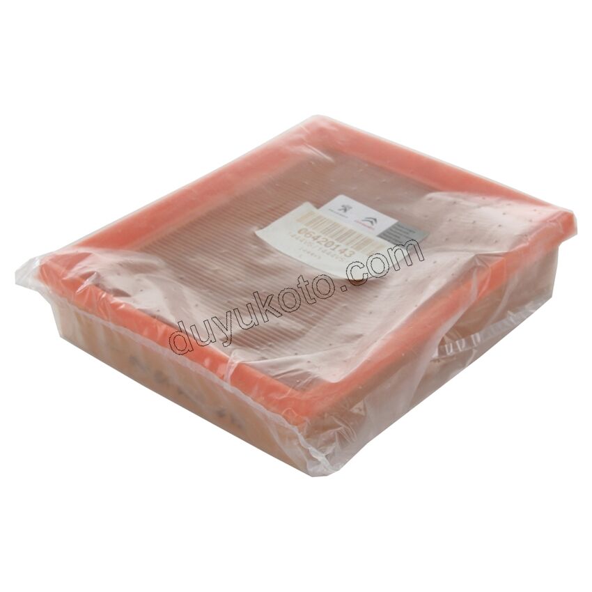 Peugeot 206 Hava Filtresi TU3 TU5 İnce