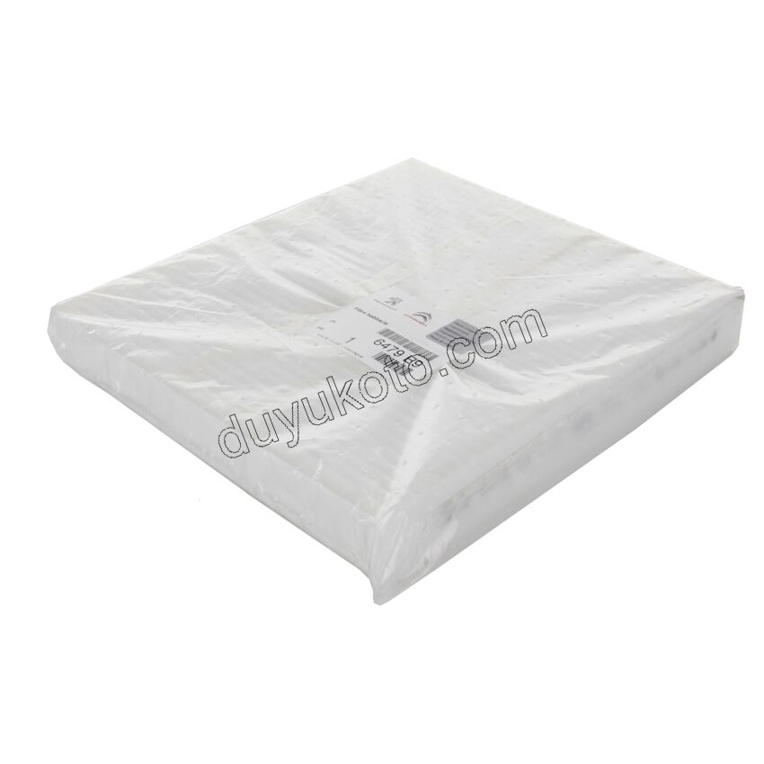 Polen Filtresi P4007 DW12