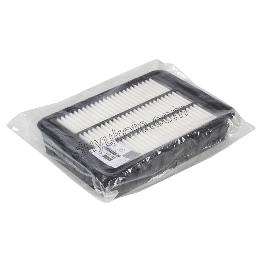 Hava Filtresi P4007 P4008 DW12