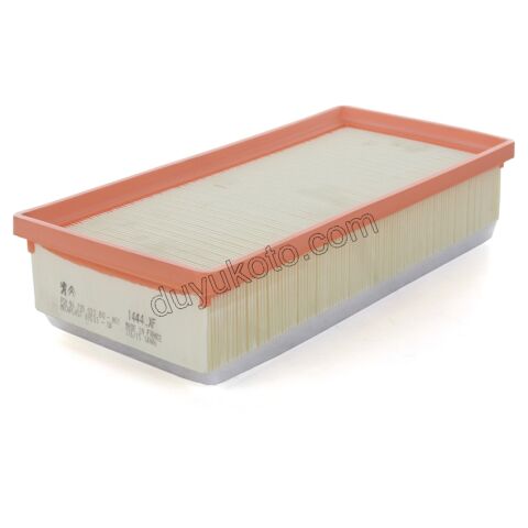 Peugeot 407 Citroen C5 Hava Filtresi DW10 16V 2.0HDI