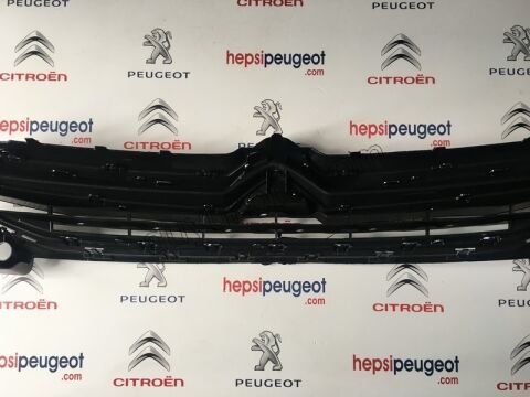 PANJUR ON CELY1 ARMA+ 2012/2016