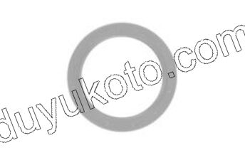 Eksantrik Zincir Kızak conta Pulu  EP3 1.6VTi 120HP