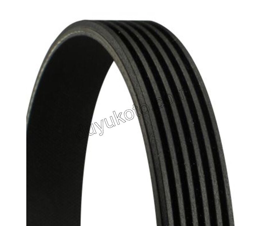 Alternatör V Kayışı 6PK1695 PRT1 1.9D, 1998/2003 Klimalı