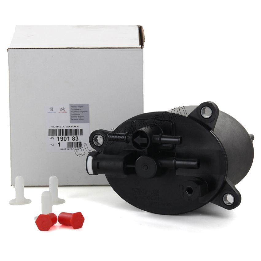 Komple Mazot Filtresi DW12 2.2HDI