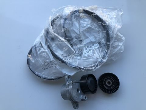Alternatör V Kayış Kiti (Gergi Kütüklü) BXR3MQ DW12R