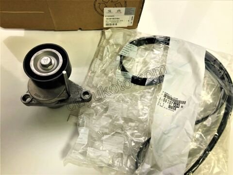 Alternatör V Kayış Kiti (Gergi Kütüklü) P301 EC5