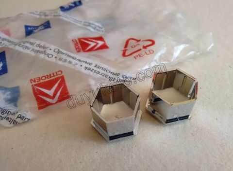 Bijon Kapağı (Krom) 19LUK 1.8CM P206 P306 P307 P607