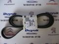 PEUGEOT PARTNER ALTERNATÖR KAYIŞ 1.9DİZEL (2004-2008) 6PK1437 KLİMASIZ