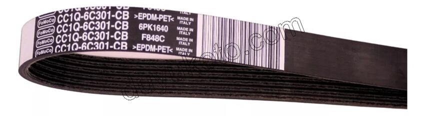 Alternatör V Kayışı 6PK1640 Klimalı BXR3 KIT