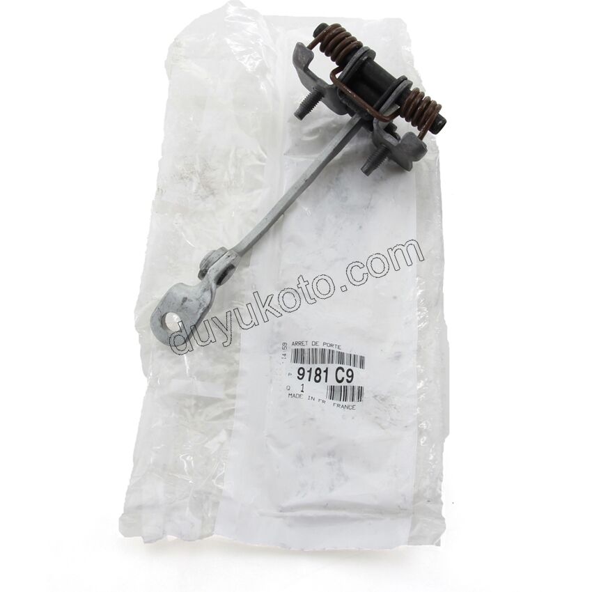 Arka Kapı Gergisi P206 4P