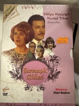 SARMAŞIK GÜLLERİ - DVD