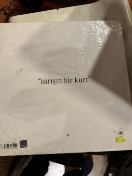 SARIŞIN BİR KURT -  CİLTLİ