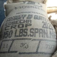 Guatemala Arabica 15 kg Kav. Kahve Çekirdeği