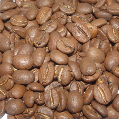 Guatemala Antigua 15 kg Kav. Kahve Çekirdeği