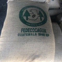 Guatemala Antigua 15 kg Kav. Kahve Çekirdeği