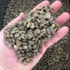 Sumatra Mandheling  15 kg Kav. Kahve Çekirdeği