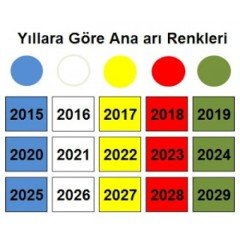 2024 Yılı Ana Arı İşaretleme Boyası - Yeşil