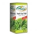 Yeşil Çay Yağı 20 ml
